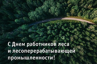 С Днем работников леса!